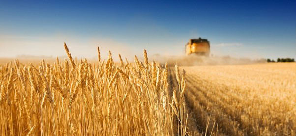 Harvester_blurb