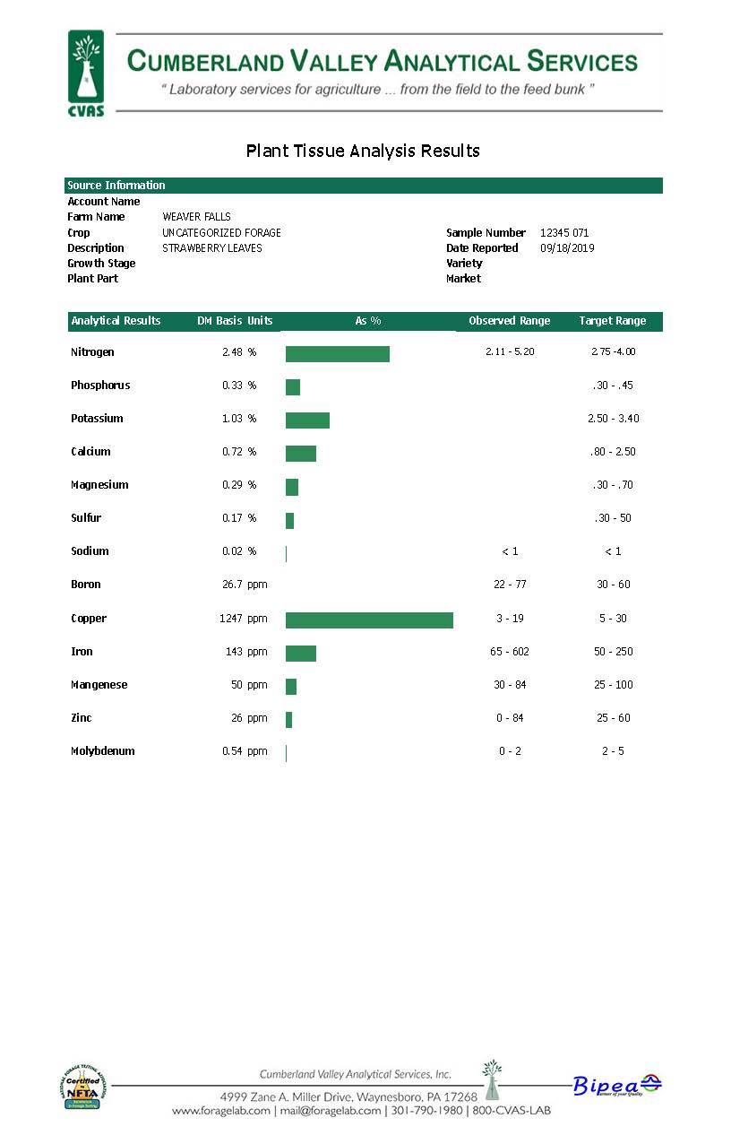 Plant Tissue Report Picture